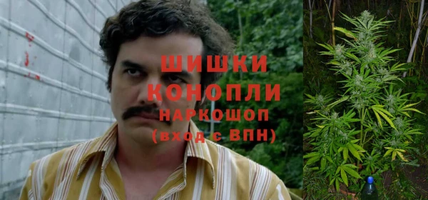 COCAINE Белокуриха