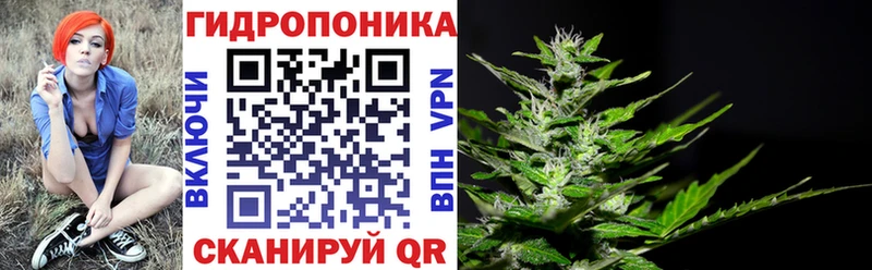 Бошки Шишки LSD WEED  магазин    Кодинск 